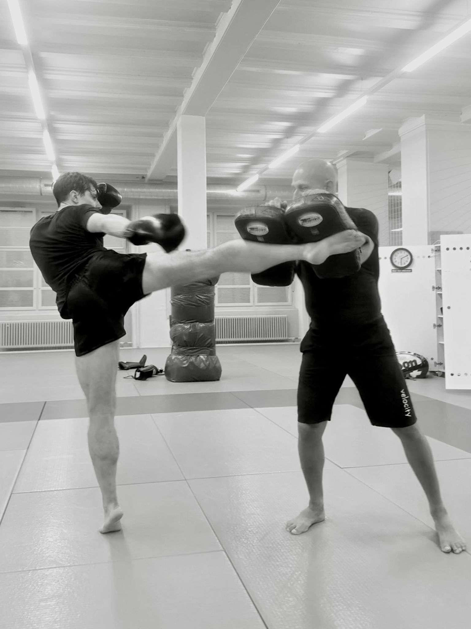 Hoher Kick auf die Pratzen des Trainers